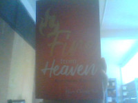 Image of Fire From Heaven (Kumpulan Khotbah)