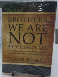 Image of Brothers, We Are Not Professionals